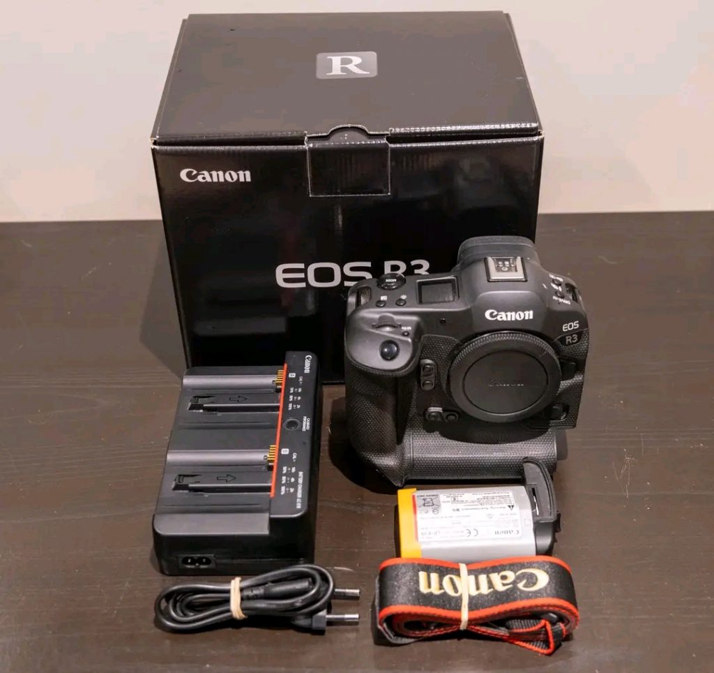 Canon EOS R3 à ARGANCHY - annonce Wannonce