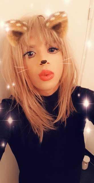 travesti recois ds appart proche marche du lez à MONTPELLIER - annonce Wannonce