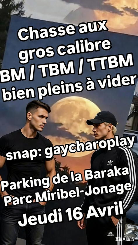 Chasse calibre BM / TBM / TTBM bien pleins à MIRIBEL JONAGE à LYON 01 - annonce Wannonce