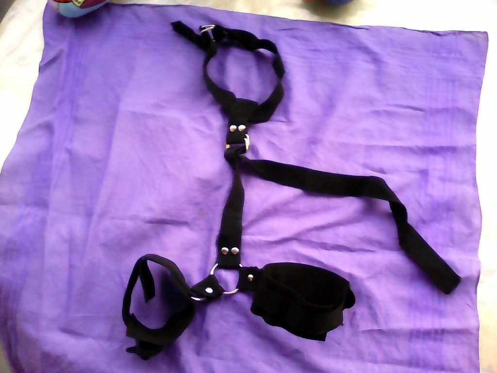 Harnais pour jeux de rôle ( Article neuf ) à VILLEURBANNE - annonce Wannonce