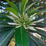 Cherche à me faire piétiner par un bel homme si possible à PARIS 03 - annonce Wannonce - photo 2