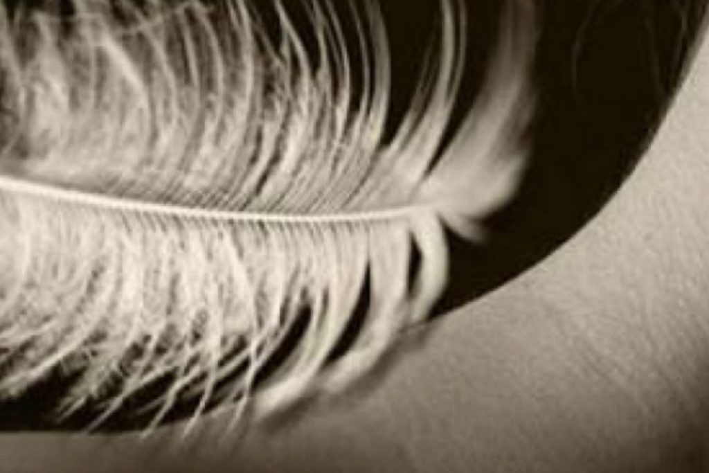 Femme désirant de la sensualité à VILLEURBANNE - annonce Wannonce