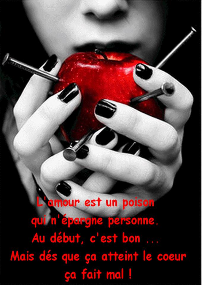 Oui madame, tout de suite madame ! à MONTPELLIER - annonce Wannonce