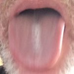 Avatar du membre