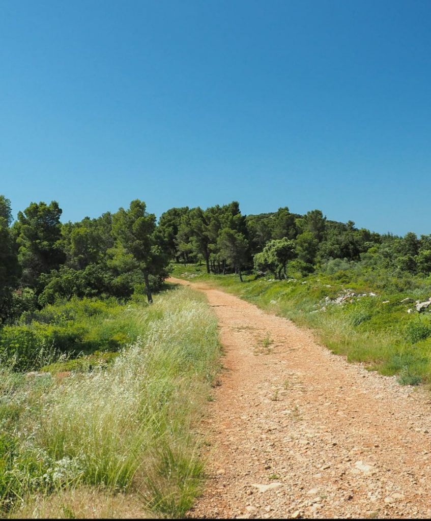 Bi mur suce senior coquin dans la nature à MONTPELLIER - annonce Wannonce