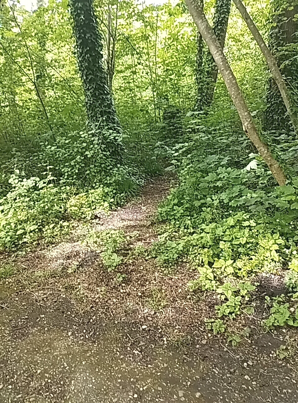 PASSIF 60a AMATEUR PLAN NATURE à ST ANDRE LES VERGERS - annonce Wannonce