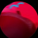 Clv_x pour vous régaler mais chouchou just big ass - annonce Wannonce - photo 2