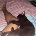 Shabine doré là pour te dominer 🧥 - annonce Wannonce - photo 2