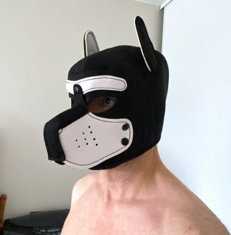Cagoule masque chien pour jeu SM