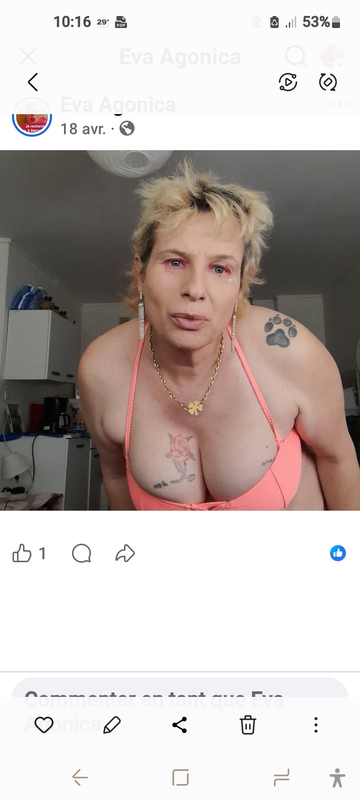 trans cougar pour jeune grand et mince en - annonce Wannonce